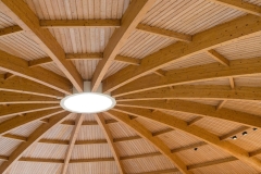 Dome ceiling