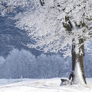 Meditators Two Day Retreat